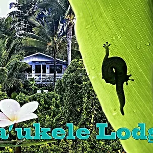 3* Couette-café Ma'ukele